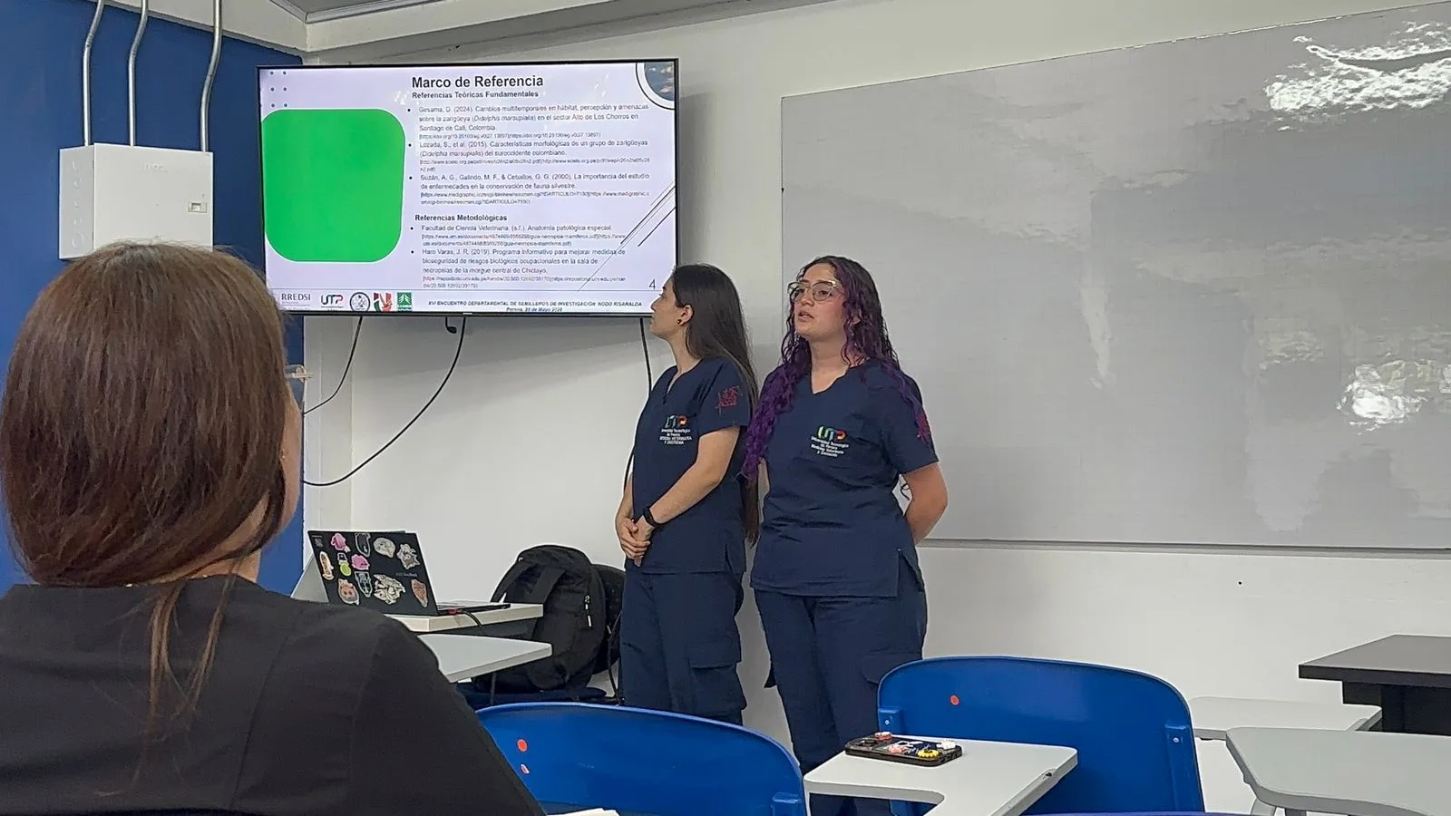 Ponencia RREDSI