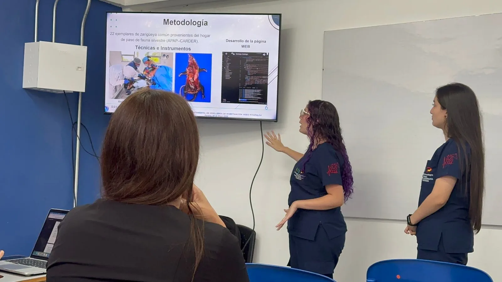 Ponencia RREDSI